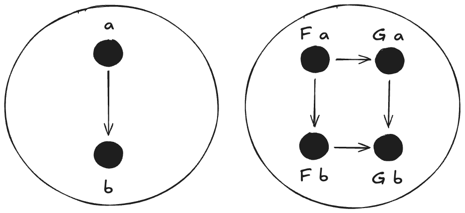 Natural Transformation